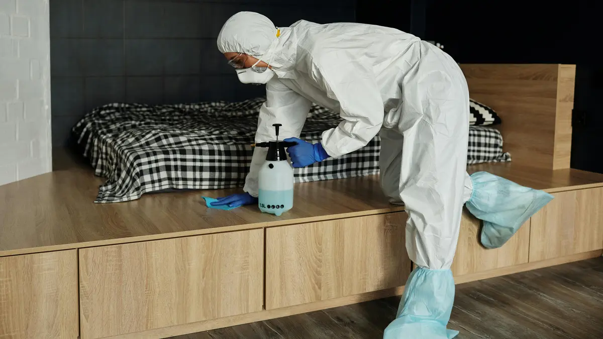 Pexels matilda wormwood 4098000